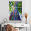 Eucalyptus Harnek Oahu Rainbow-108523651