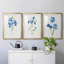 «Blue Blossom Botanical I», ensemble de 3 reproductions de cadres photo-566303055-566303052