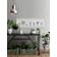 Meet My Plants - Single Picture Frame Panoramic Print-2068999596