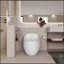 Toilette 1 pièce Luxury