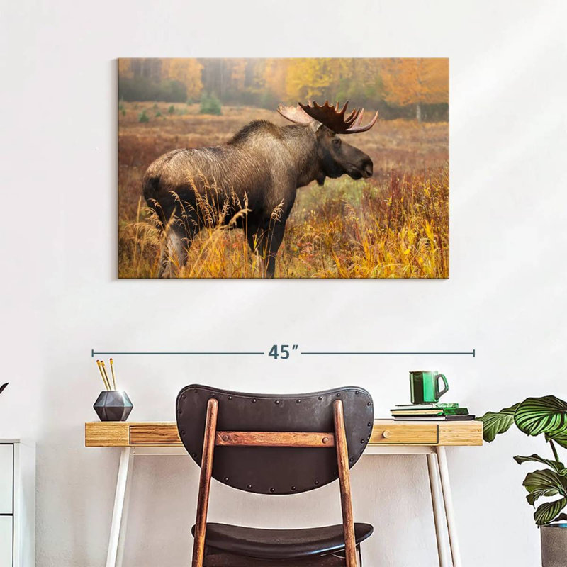 Crowle Mighty Alaskan Moose, H 26 po x l 39 po