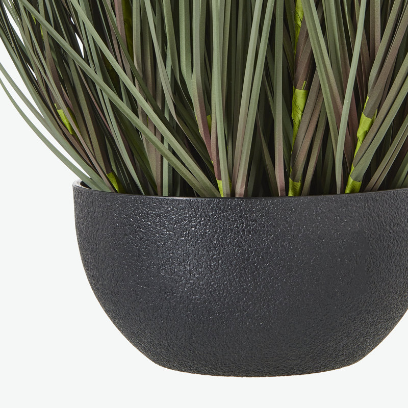 Faux Plant in Pot, 81cm H x 50cm W x 50cm D