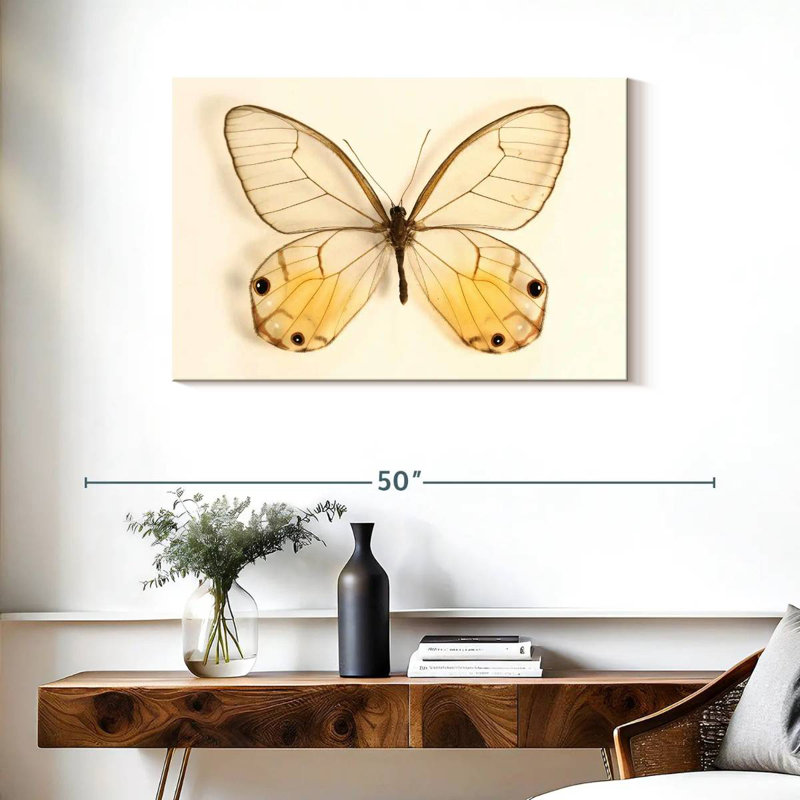 Souvenir de papillon, H 24 po x l 36 po