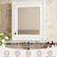 Armoire de salle de bain à miroir murale, matériau 24 po x 27 po, rangement peu encombrant-751170373