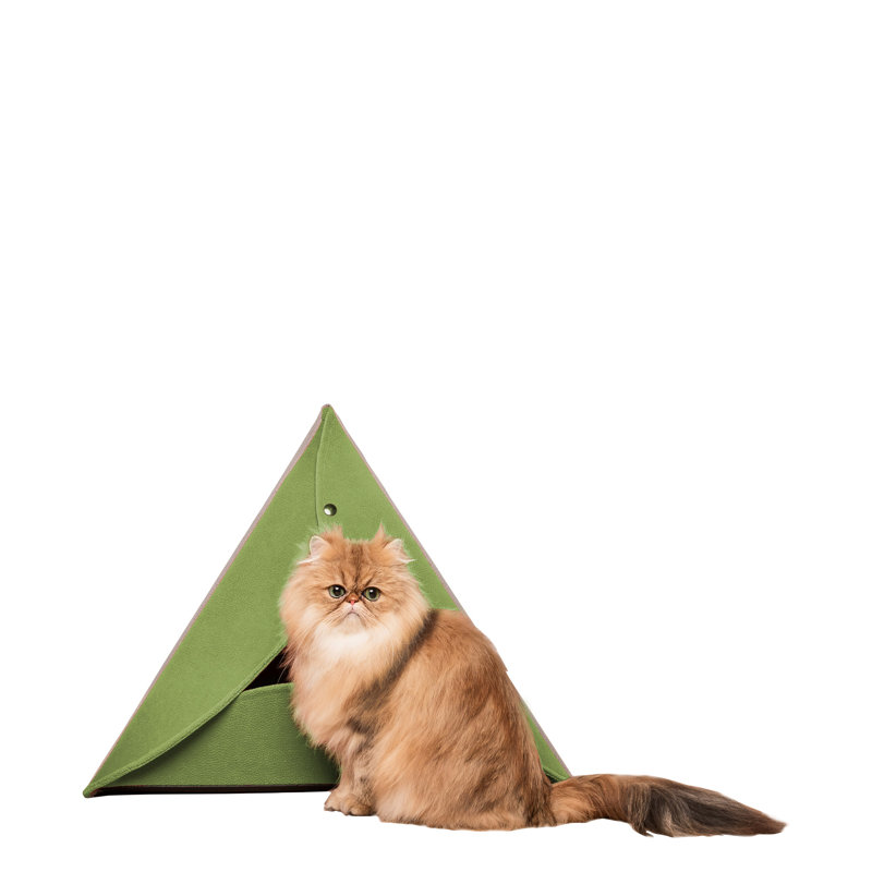 Orthopedic Microfibre Tent Pet Bed, Green