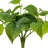 14" Green Artificial Pothos Bush, 2 Per Bag