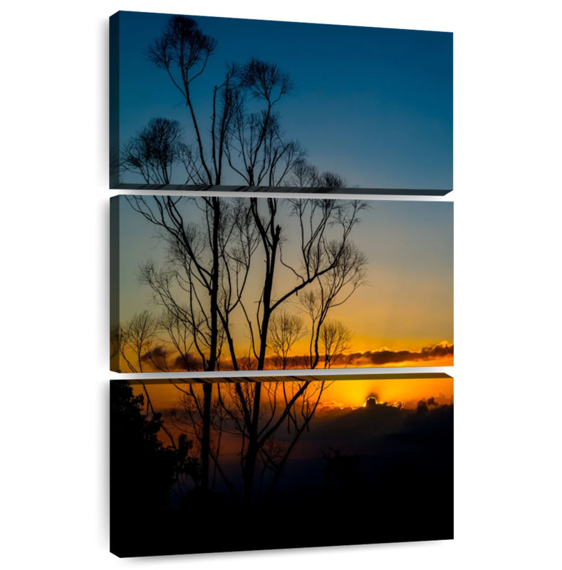 Alvord Tree Silhouette Sunrise, 45" H x 28" W