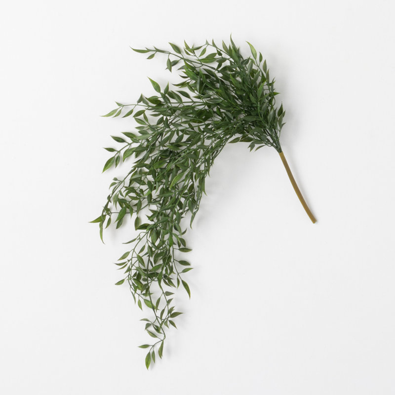 Quiller Draping Ruscus
