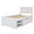 Blanc est en rupture de stock