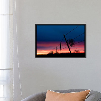 " Tumble Weed " by Dan Ballard