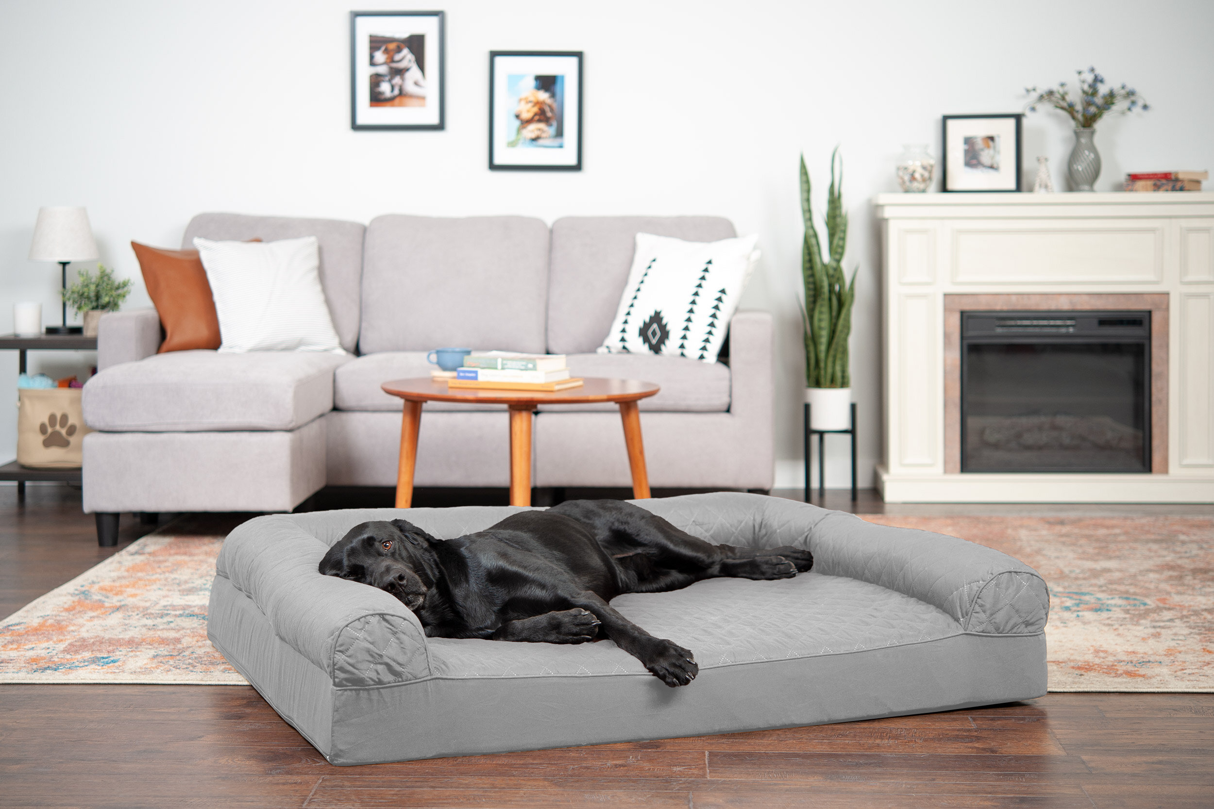 Furhaven quilted discount orthopedic sofa dog