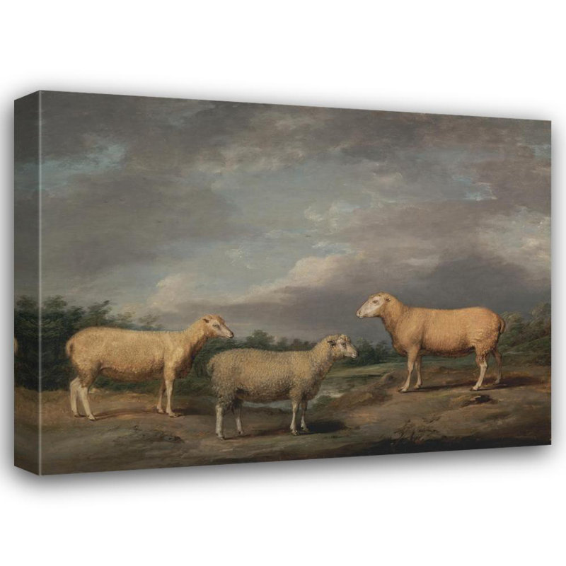 «Ryelands Sheep, the King's Ram, the King's Ewe and Lord Somerville's Wether» par James Ward - Art mural sur toile tendue