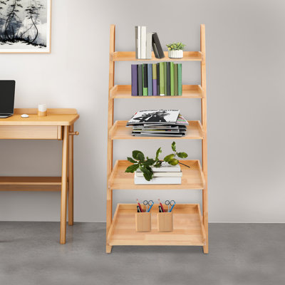 5-Tiered Ladder Storage Rack