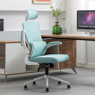 Tunney Ergonomic Height-Adjustable Mesh Office Chair with Headrest