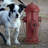 Vintage Metal Fire Hydrant Statue
