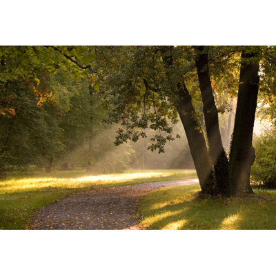 Morning Light by HeikeKampe - No Frame Print on Canvas