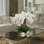 20" White Phalaenopsis Orchid Flowers In 10" Round White Pot