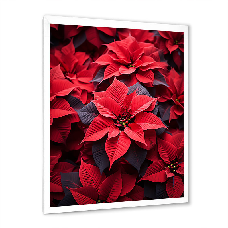 Poinsettias festive - impressions murales florales et botaniques, H 20 po x l 12 po x P 1 po, Cadre photo blanc