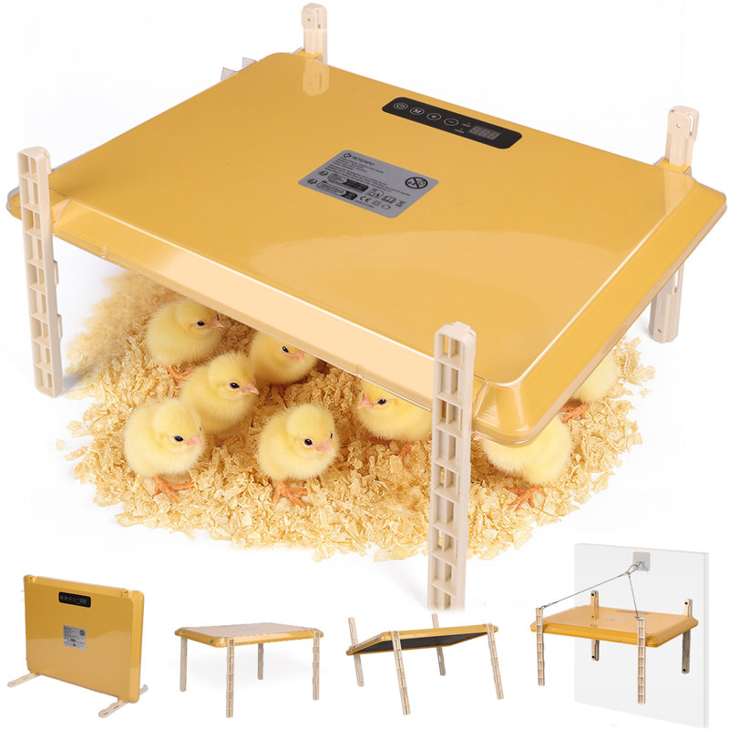 Brooder Plate for Chicks, 12" x 16" Heat Plate for Chicks for 20 Chick, Chicken Coop Heater with Adjustable Temp Timer & Height & Angle, Heating Panel for Baby Chicks Chickens Quail Duck Poultry