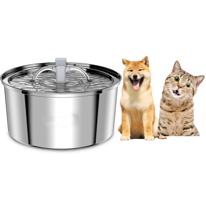 Distributeur d'eau automatique