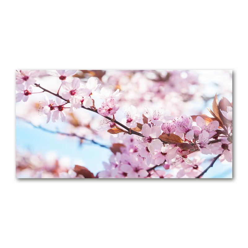 Cherry Blossoms - Print, Canvas, 50cm H x 100cm W x 2cm D