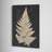 Linen Fern I Canvas Painting Print-221848573
