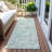 Siriyah Washable Paisley Indoor / Outdoor Rug-2086328579