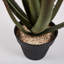 30 cm H Faux Cactus Plant in Plastic Pot