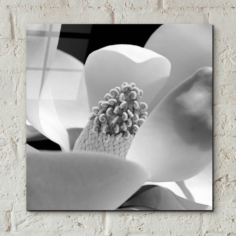 " Fibonacci 1 " by PhotoINC Studio