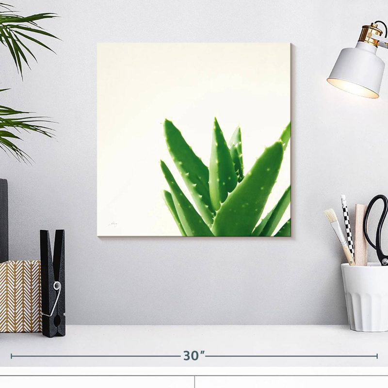 Harnek Succulent Simplicity Neutral I, H 16 po x l 16 po