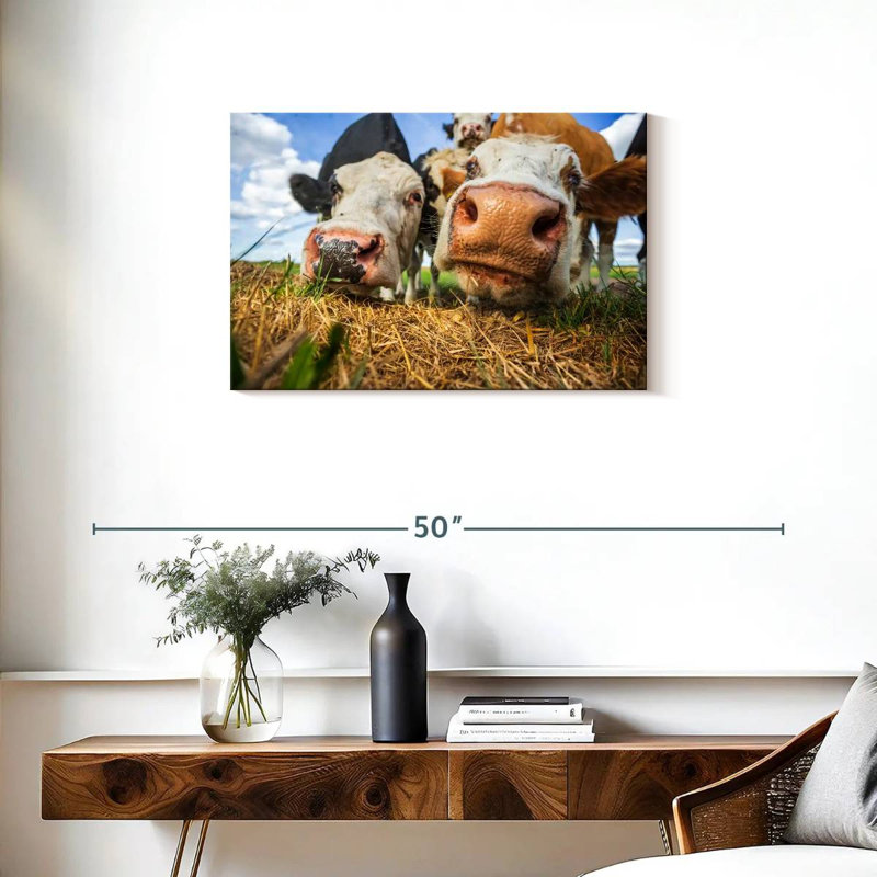 Vaches curieuses Brampt, H 20 po x l 30 po