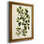 Toile encadrée de qualité supérieure Olive Greenery V - prête à être accrochée