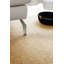 Avgust Solid Colour Area Rug-1484139082