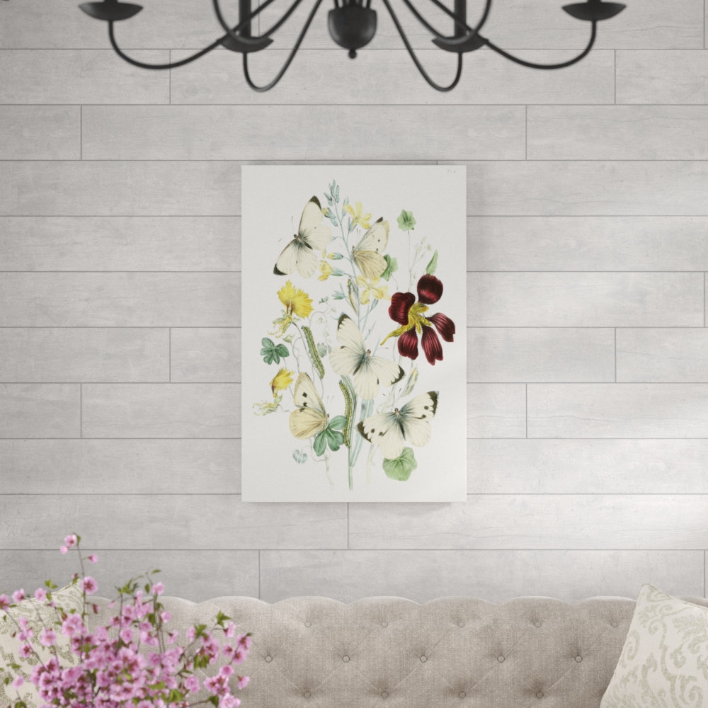 " British Butterflies IV " Painting Print Ophelia & Co.