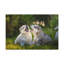 No Frame Print on Canvas-1164896129
