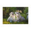 No Frame Print on Canvas-1164896254