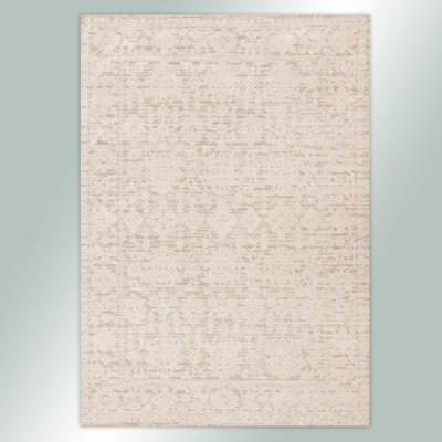 Elegant Neutral Ivory Textured Traditional Woven Area Rug for Living Room