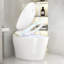 Toilette intelligente unique, toilette une pièce avec bidet intégré, siège d'auto ouverture / fermeture de toilette intelligent. Toilette bidet avec sécheuse et eau chaude. Blanc-129934121