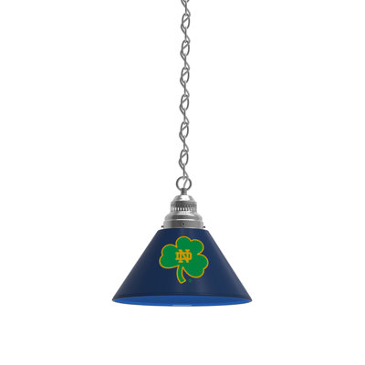 1 - Light Single Pendant