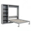 Full Size Murphy Bed With Shelves