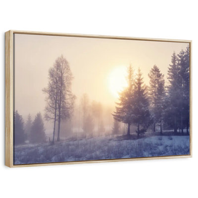 Winter Dawn