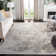 Nicarla Performance Oriental Rug