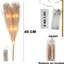 PVC Holiday Shaped Ornament-273499700