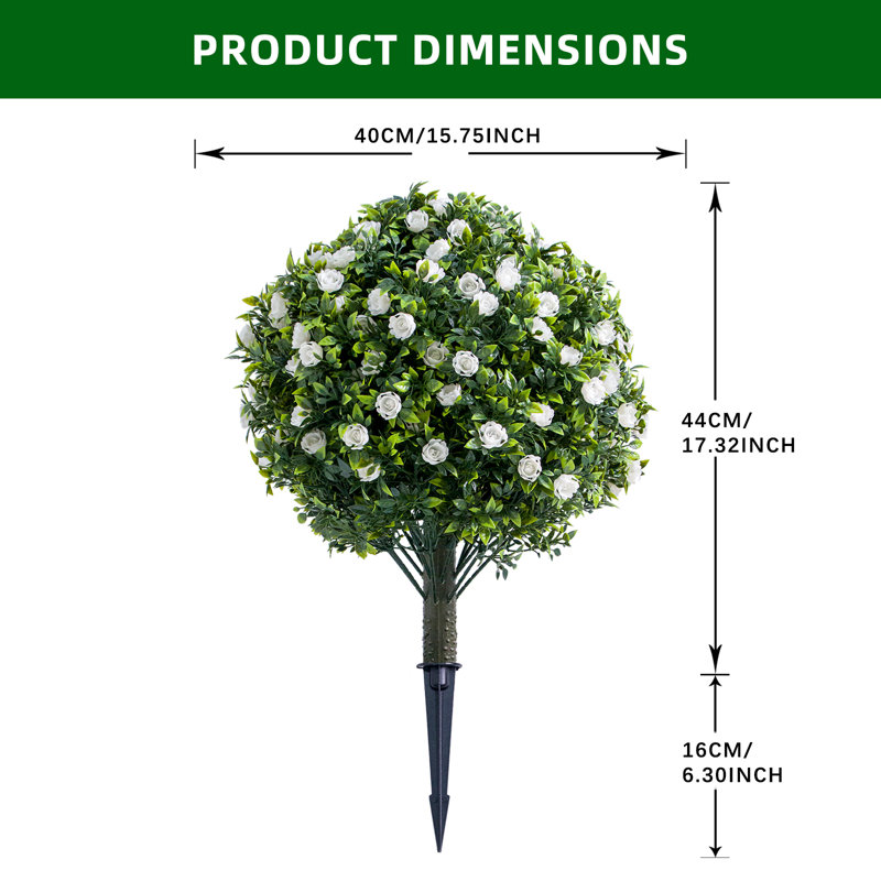 60cm Plant