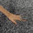 Delane Dark Gray Area Rug-1220974401