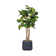 67.57'' Faux Fiddle Leaf Fig Tree in Planter