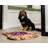 Broghin Polyester Pet Bed