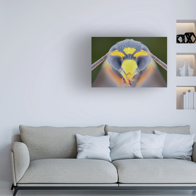 Art sur toile, jaquette bolognaise Aditya Permana, H 22 po x l 32 po