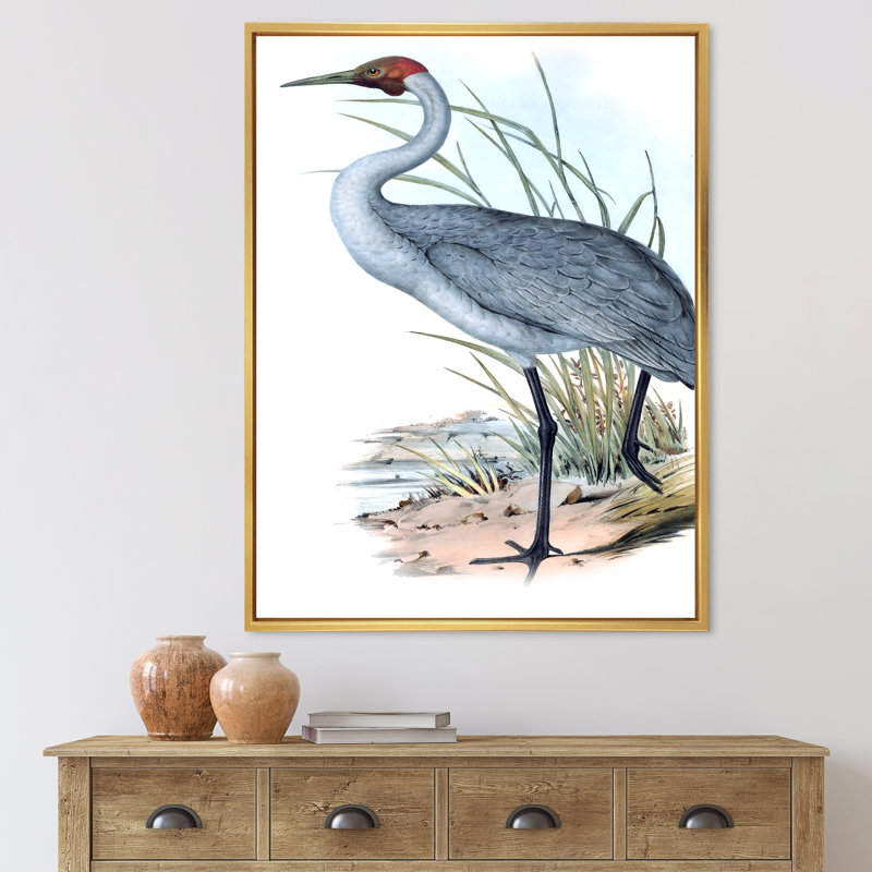 «Vintage Australian Birds V», impression sur toile, Encadrement doré, H 20 po x l 12 po x P 1po