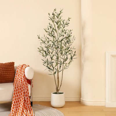 Adcock 84" Olive Tree in Pot